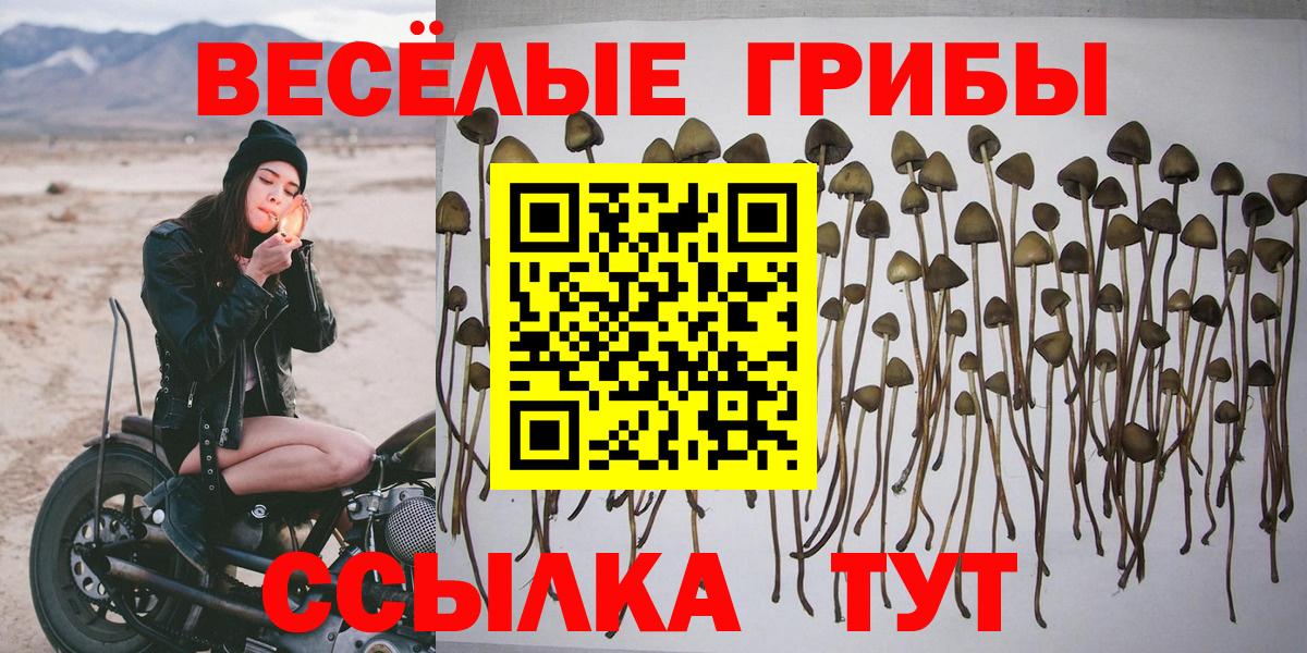 Псилоцибиновые грибы Magic Shrooms Буйнакск