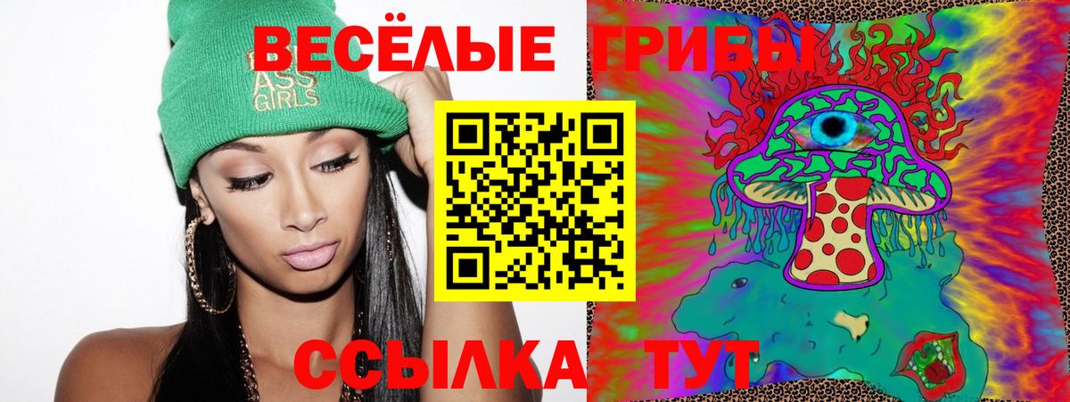 Галлюциногенные грибы Magic Shrooms  Вход с VPN  купить  сайты  Буйнакск 